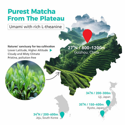 Emerail Organic Matcha Powder, USDA-Certified 70g / 2.5oz