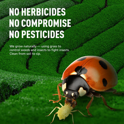 Emerail Ceremonial Grade Matcha Green Tea Powder 60g / 2.1oz