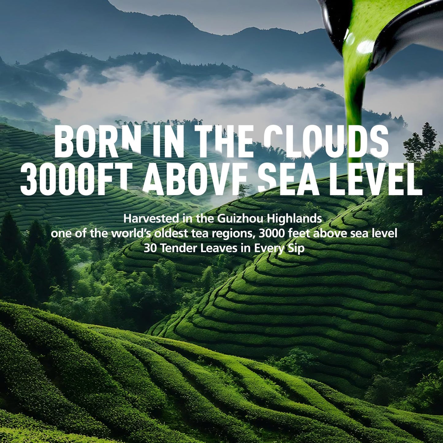 Emerail Ceremonial Grade Matcha Green Tea Powder 40g / 1.4oz