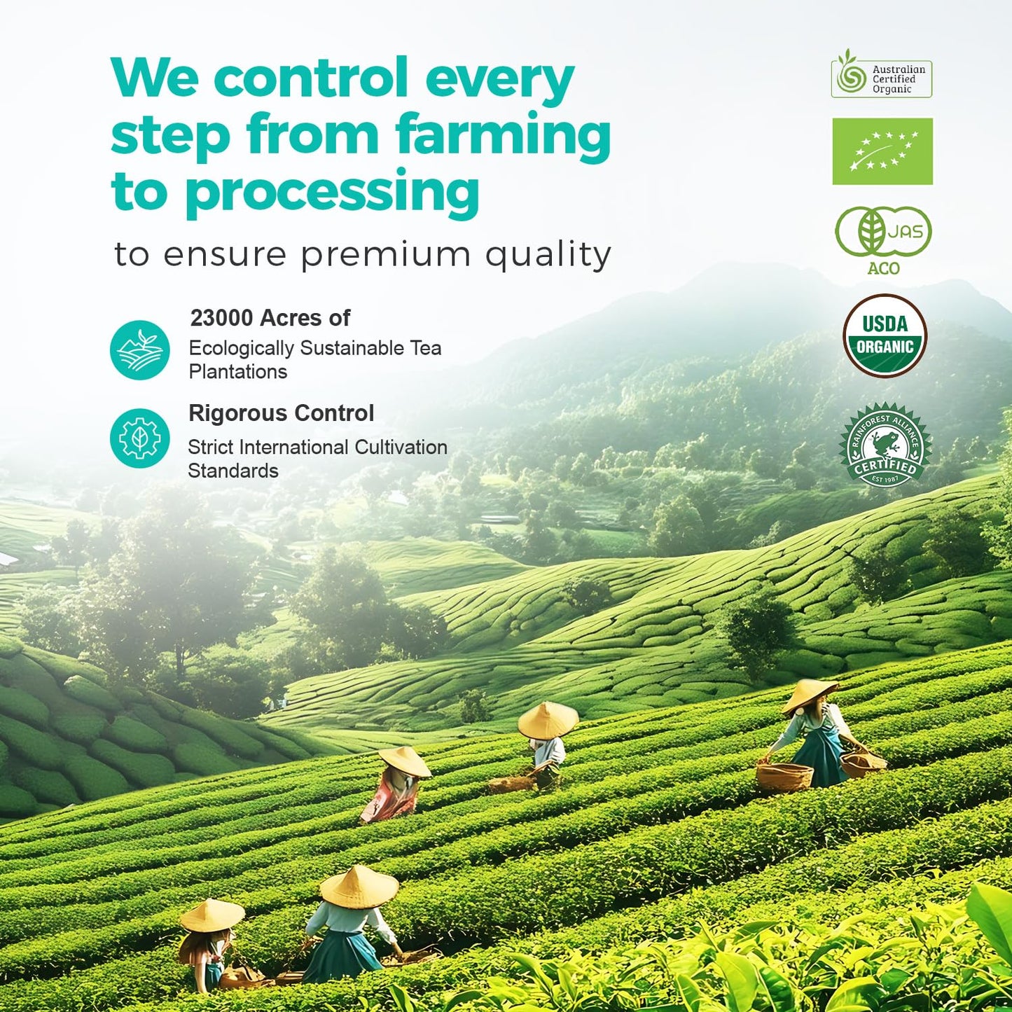 Emerail Organic Matcha Powder, USDA-Certified 70g / 2.5oz