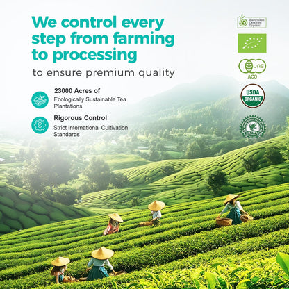 Emerail Organic Matcha Powder, USDA-Certified 70g / 2.5oz