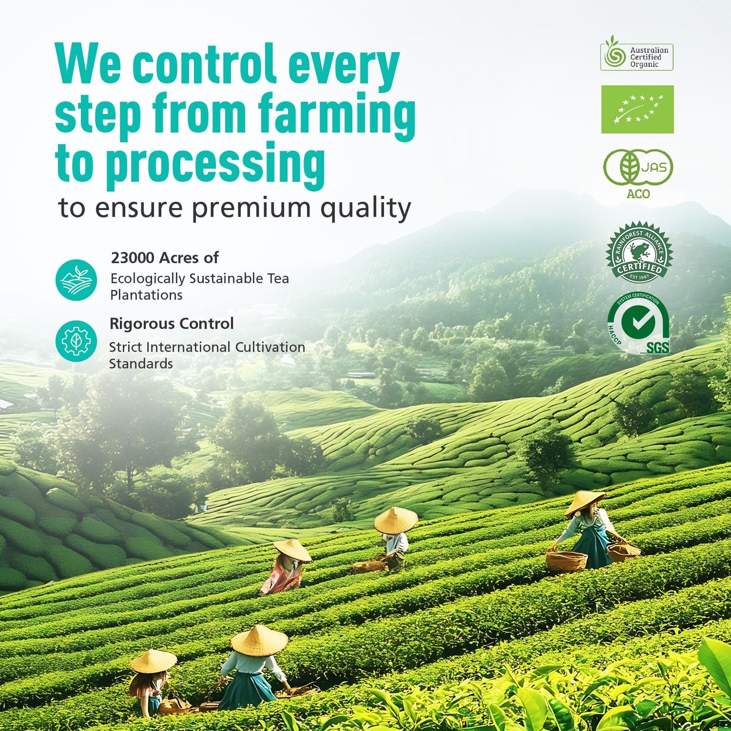 Emerail Ceremonial Grade Matcha Green Tea Powder 40g / 1.4oz