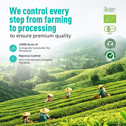 Emerail Ceremonial Grade Matcha Green Tea Powder 60g / 2.1oz